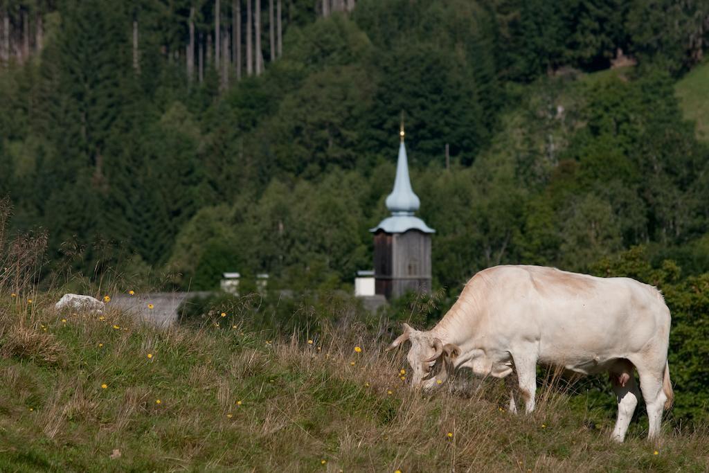 Grundnerhof Villa Arriach Dış mekan fotoğraf